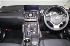 NX300h Iパッケージ