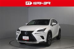 NX300h バージョンL
