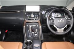 NX300h バージョンL