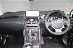 NX300 Iパッケージ