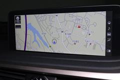 RX300 バ-ジョンL