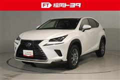 NX300h Iパッケージ