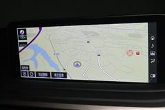 RX300 バージョンL