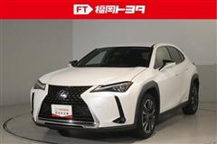 UX250h バージョンC