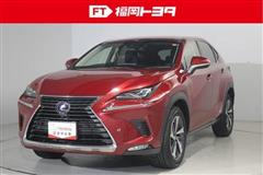 NX300h Iパッケージ