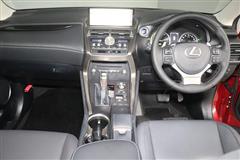 NX300h Iパッケージ