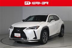 UX300e バージョンL