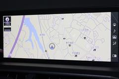 NX300h Fスポーツ