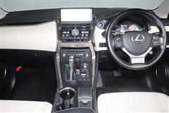NX300h バージョンL