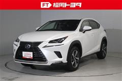 NX300h Iパッケージ