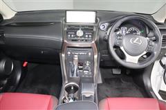 NX300h Iパッケージ