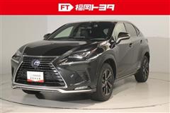 NX300h スパイス&シック