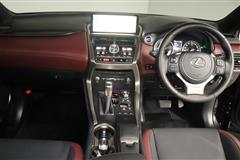 NX300h スパイス&シック