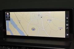 NX300h スパイス&シック