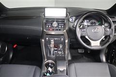 NX300h スパイス&シック