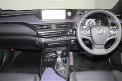 UX250h アーバンエレガンス