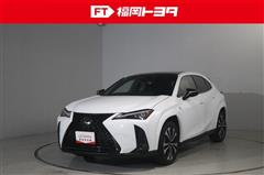 UX250h F エクスプローラー