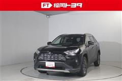 RAV4 G