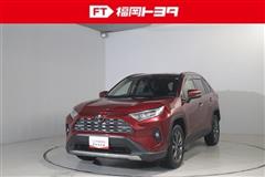 RAV4 G