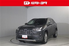 RAV4 G Zパッケージ