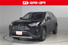 RAV4 G
