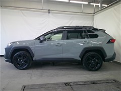 RAV4 アドベンチャー オフロート