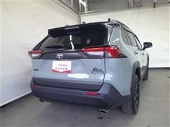 RAV4 アドベンチャー オフロート