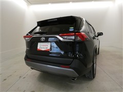 RAV4 G