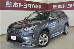 RAV4 G