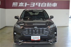 RAV4 G