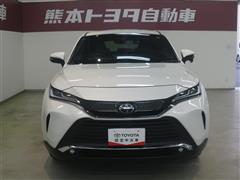 ハリアー G レザーパッケージ