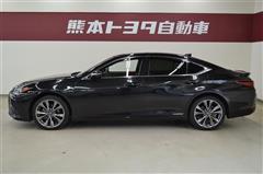 ES300h F SPORT
