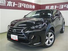 NX300h バージョンL