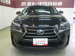 NX300h バージョンL