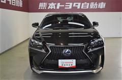 NX300h Fスポーツ
