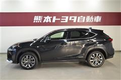 NX300h Fスポーツ