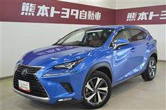 NX300 Iパッケージ