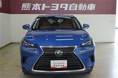 NX300 Iパッケージ