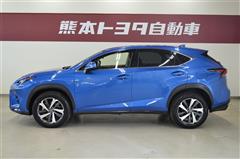 NX300 Iパッケージ