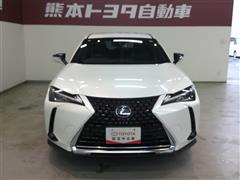UX250h バージョンC