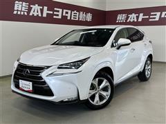 NX300h バージョンL