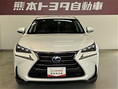 NX300h バージョンL