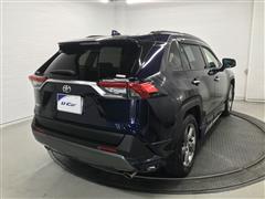 RAV4 G