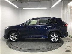 RAV4 G