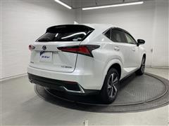 NX300h ブラックシークエンス