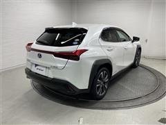 UX250h バージョンL