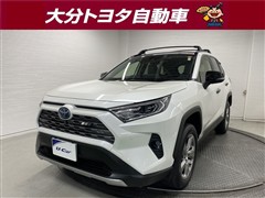 ＲＡＶ４