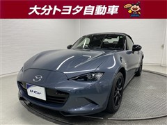 ロードスター S スペシャルP