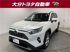 RAV4 G