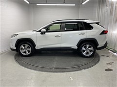 RAV4 G